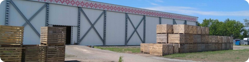Проектування та будівництво овочесховищ​
